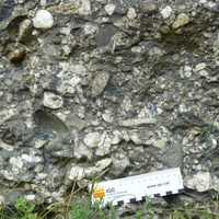Dg-Q/Si: Conglomerates of quartz pebbles