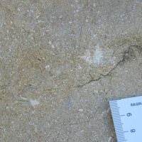 C-Ca: Grainstone, large-grained limestone