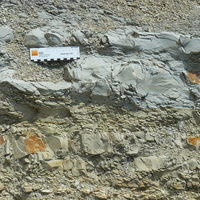 CDf-Ca/Si: Marly limestone