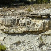 CDf-Ca/Si: Limestones and mudrocks