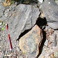 CO-CaMo: Limestone with coal
