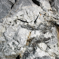P-Q/Si: Leucocratic granite
