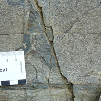 G-Si/C: Gneis amfibòlic, metabasita